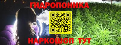 Альфа ПВП Новозыбков