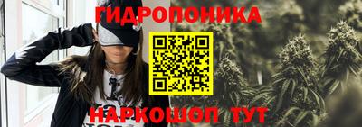 Альфа ПВП Новозыбков
